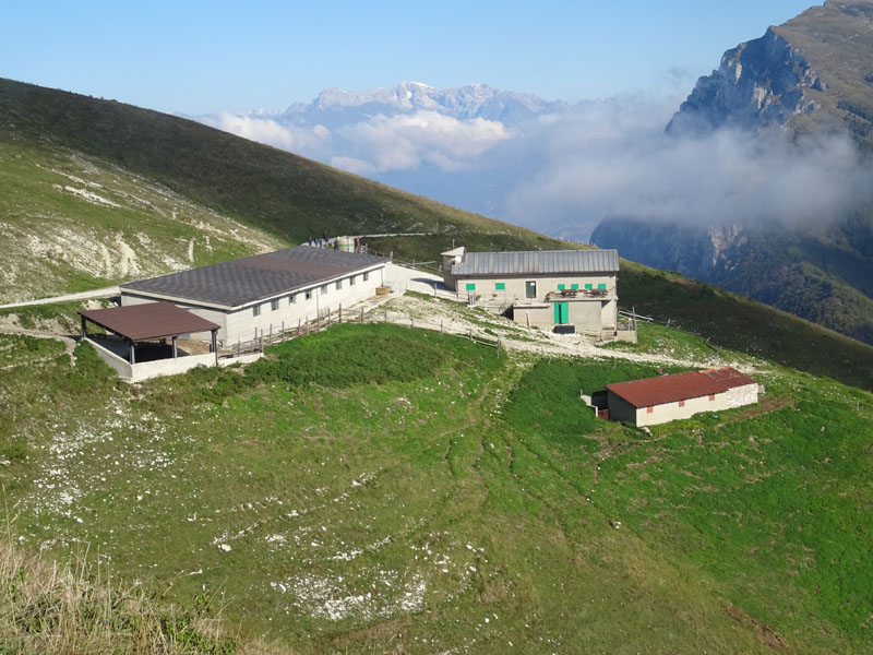 Cima delle Pozzette  m.2132 - Gruppo del Monte Baldo (VR)